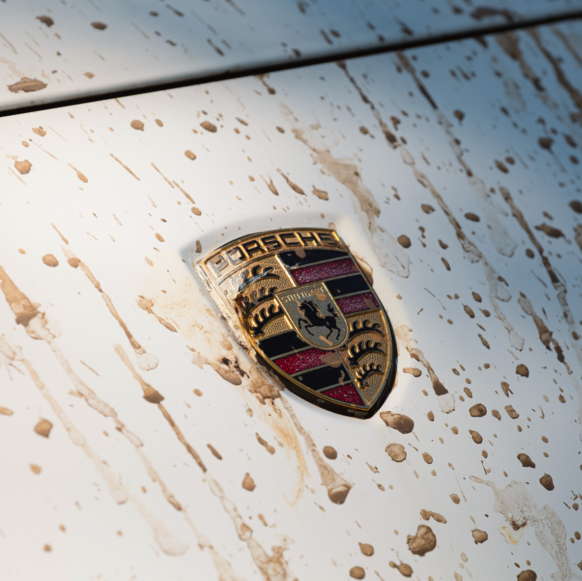 PORSCHE CAYENNE LOGO DIRT HOOD SILVER ZILVER MOTORKAP