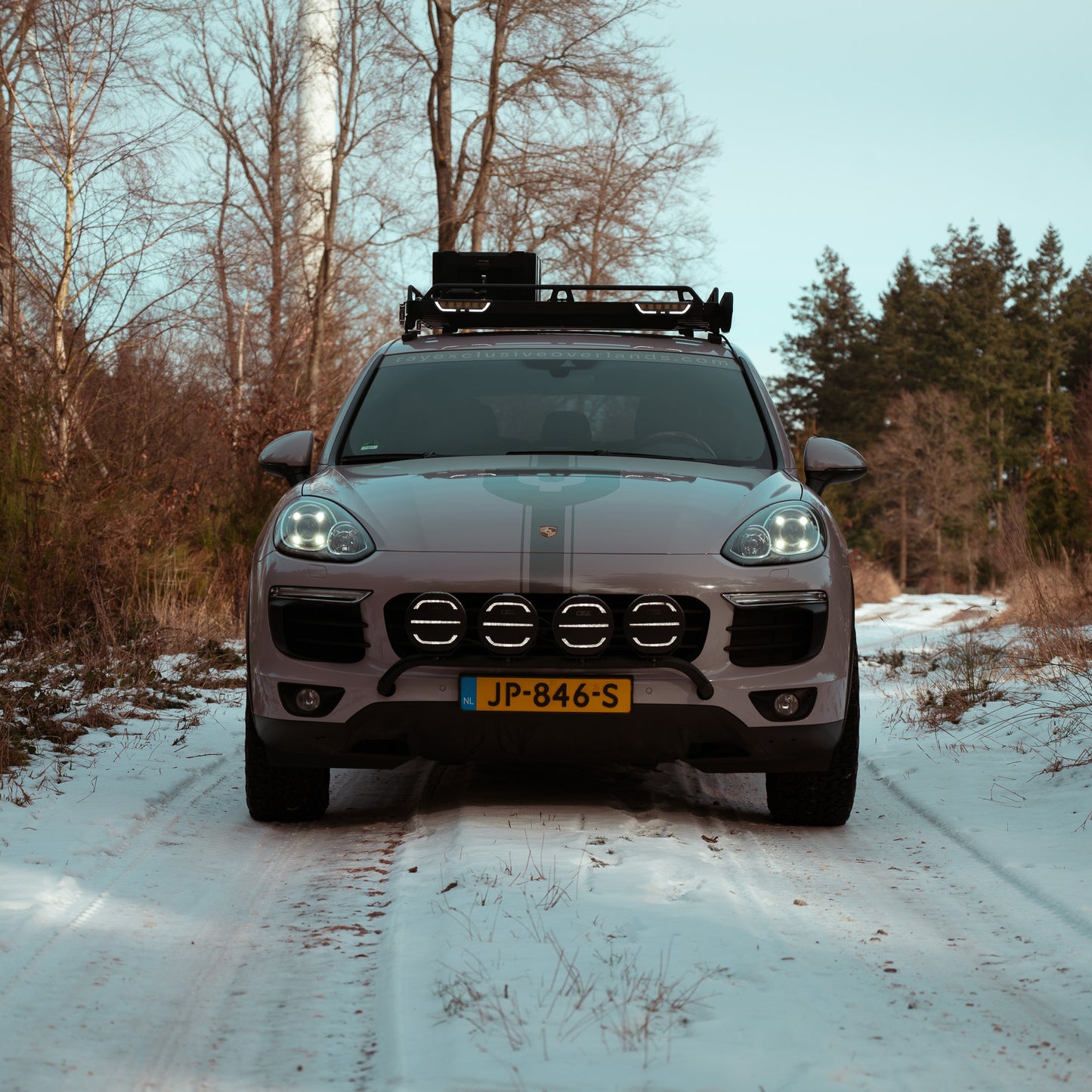 RAY Motion Winter BBQ & FOREST DRIVE