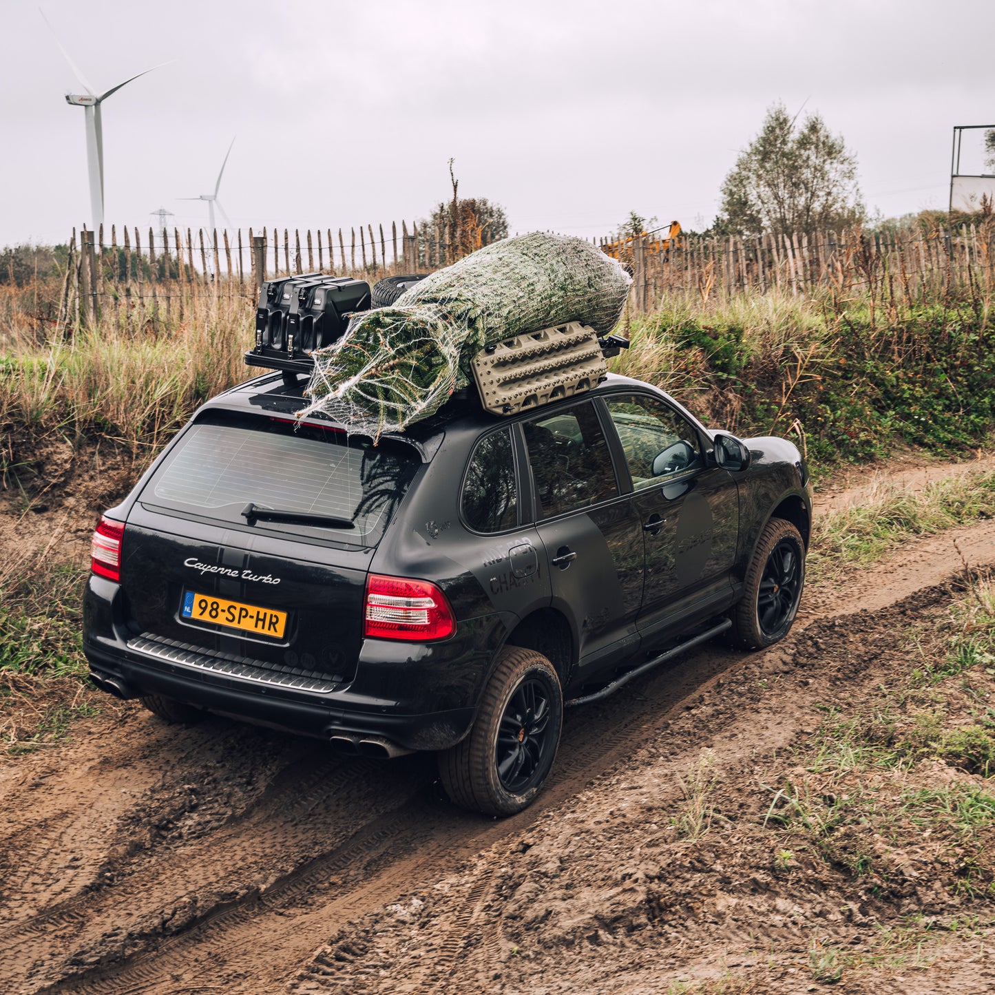 RAY Motion Winter BBQ & FOREST DRIVE