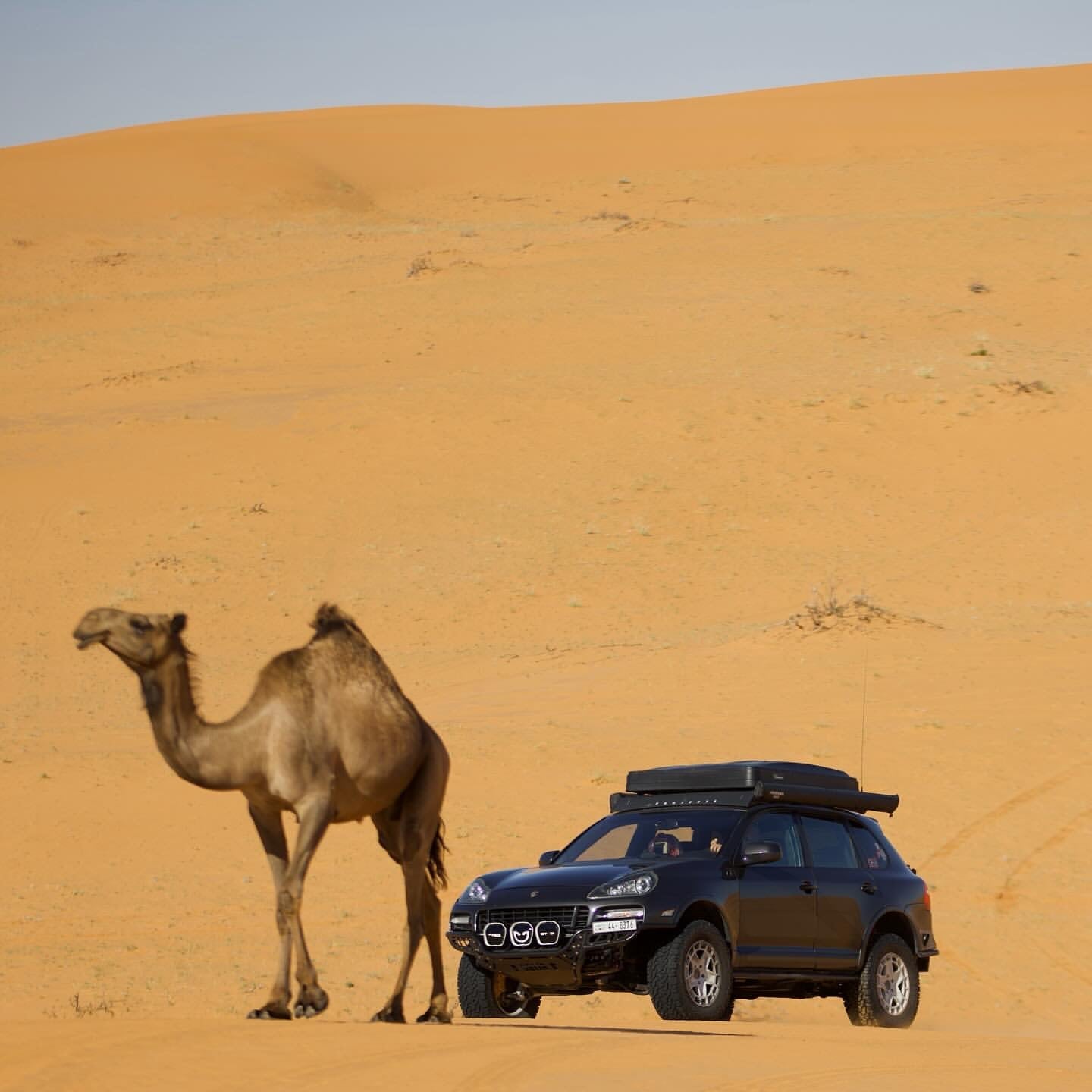 Porsche Cayenne 955/957 Offroad Coilovers Akioverland Bespoke 2.5 Nitrogen Filled