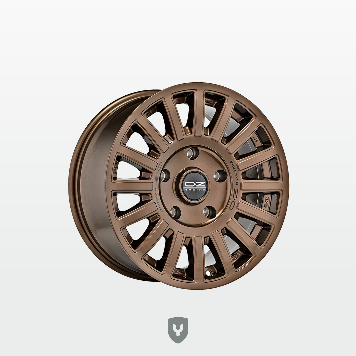 Rally Raid de OZ Racing